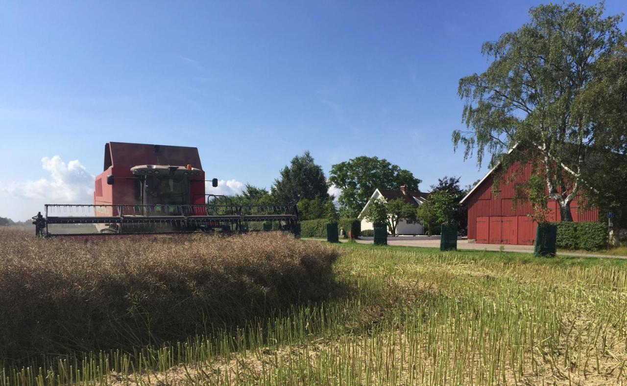 Lyckas Gards Gaestboende Höganäs エクステリア 写真