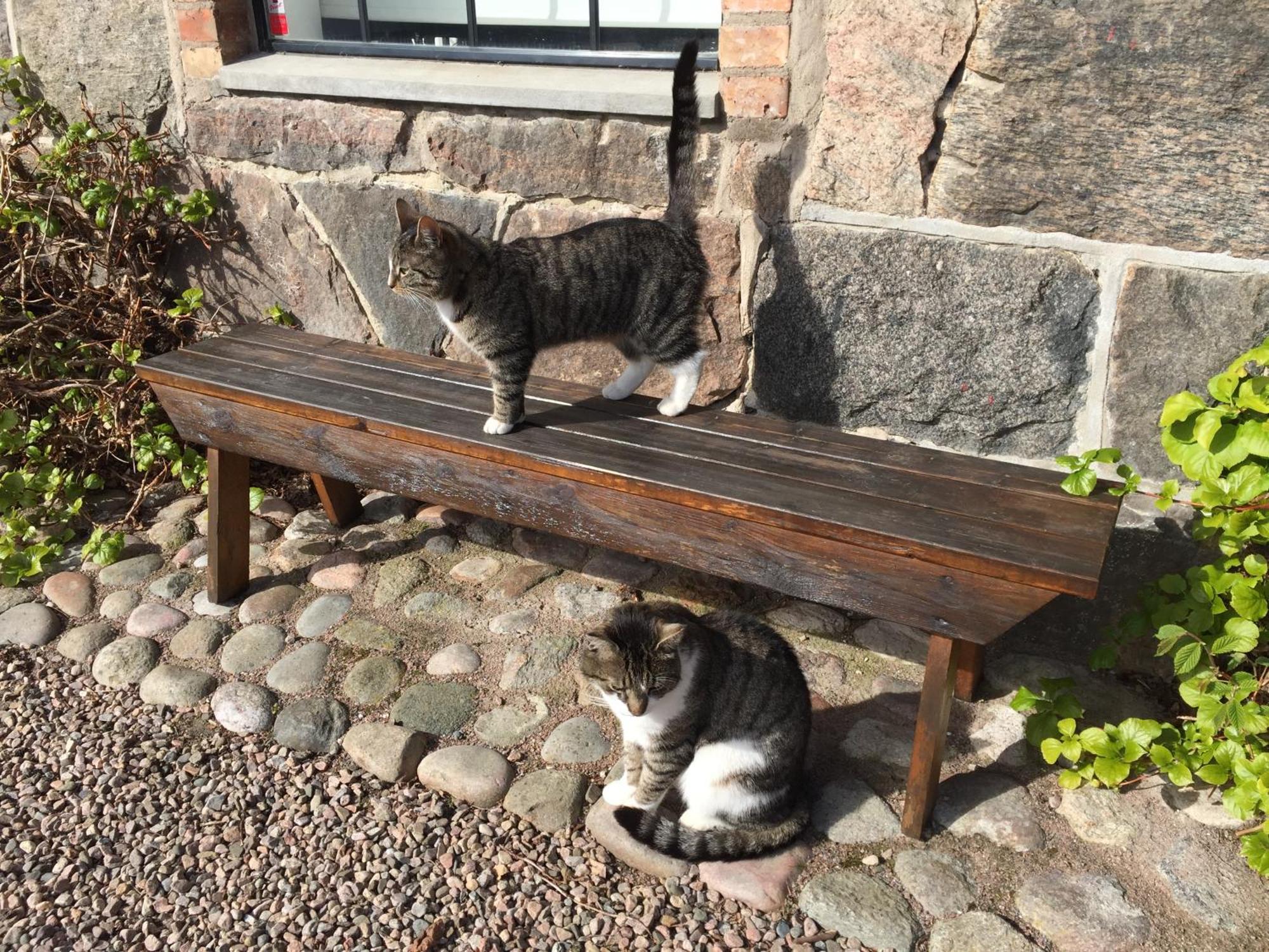 Lyckas Gards Gaestboende Höganäs エクステリア 写真