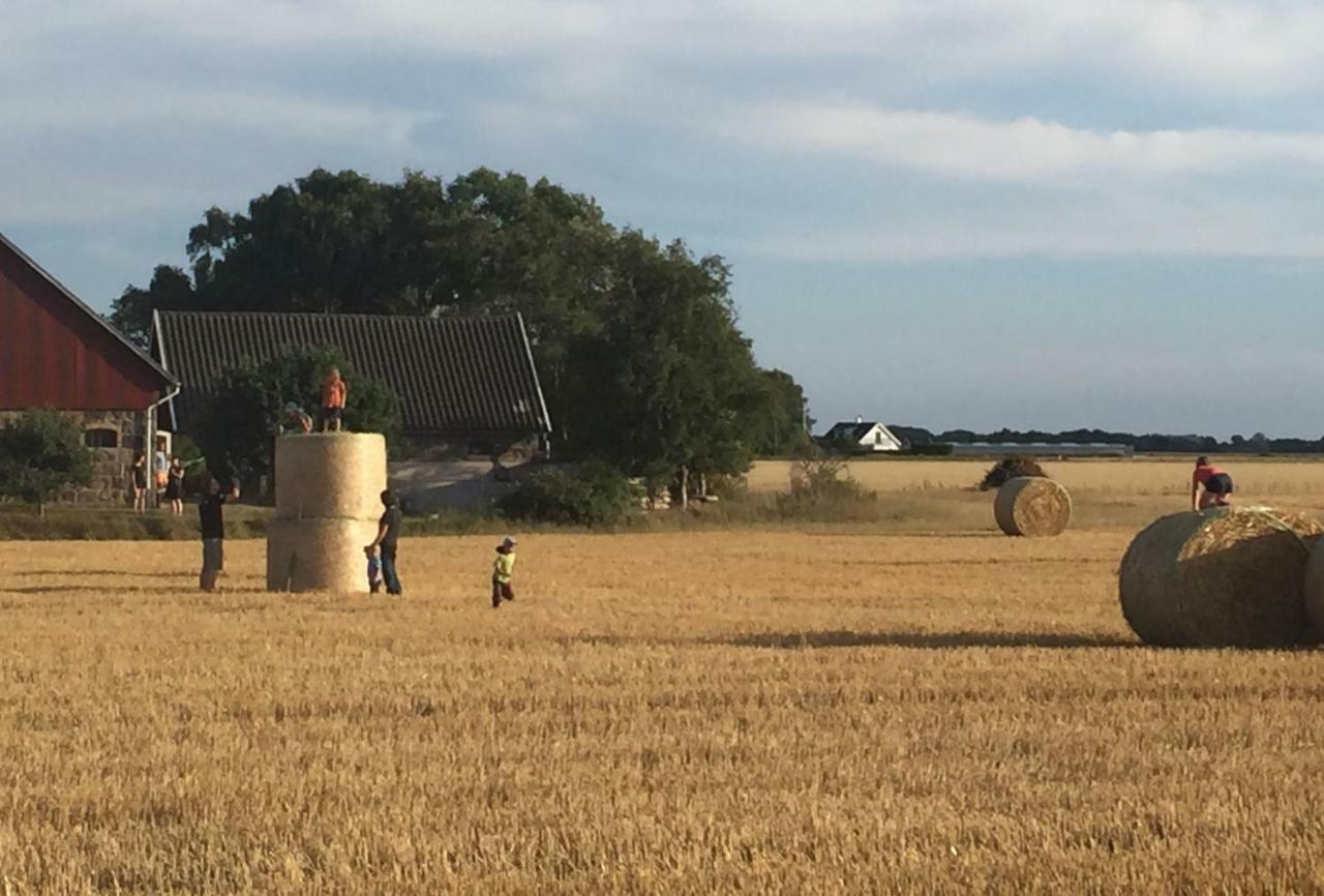 Lyckas Gards Gaestboende Höganäs エクステリア 写真